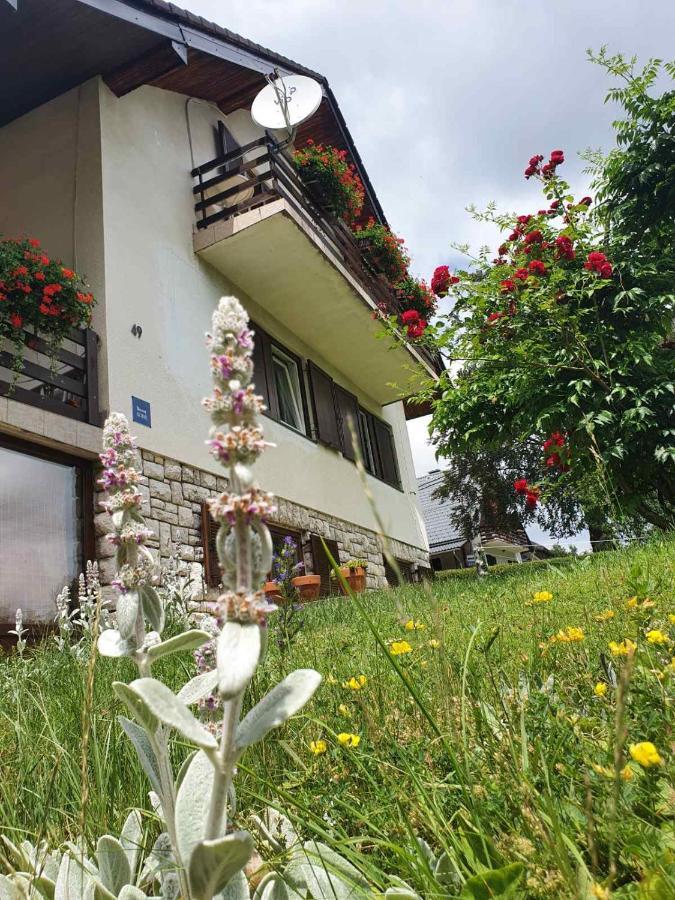 House Draga Plitvice Bed & Breakfast Plitvička Jezera Dış mekan fotoğraf